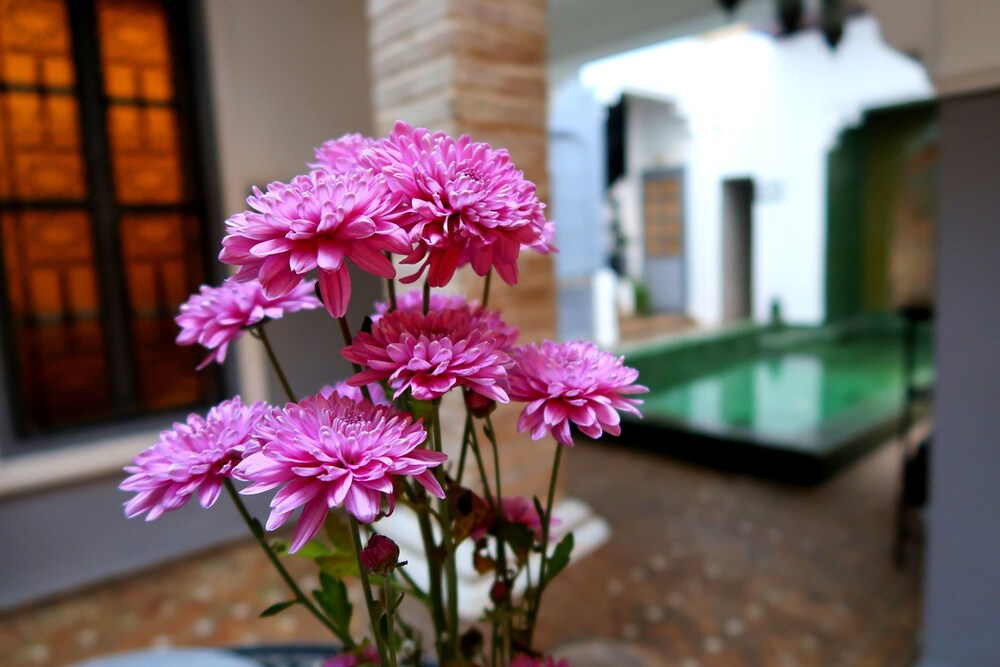 Photo - Riad Jenan L'mouassine