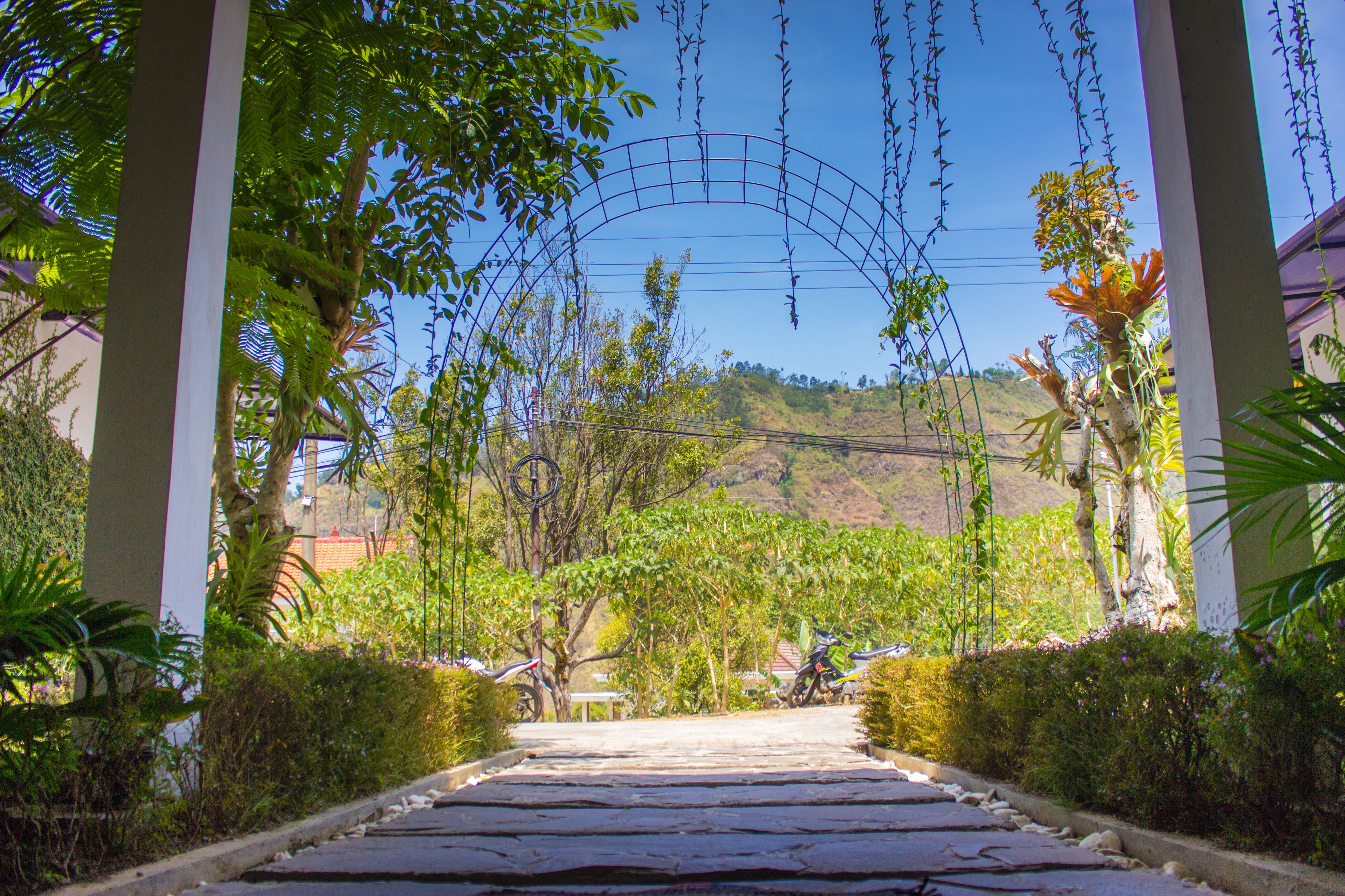 Bromo Ecolodge in Sukapura, Indonesia