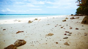 Beach nearby, snorkelling, fishing