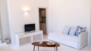 Flat-screen TV