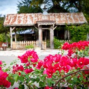 Hotels Near Gruene Hall Book The Closest Gruene Mansion Inn Bed And Breakfast