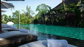 Outdoor pool, open 8:00 AM to 8:00 PM, pool umbrellas, pool loungers