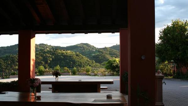 Terrazza/Patio