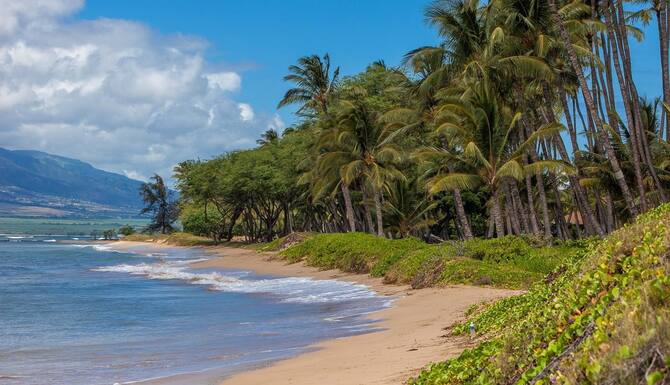 Waiohuli Beach Hale B 206 In Kihei Hi Expedia