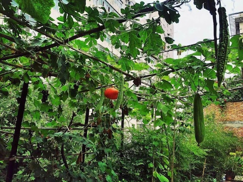 musta shemale vittuile tyttö porno