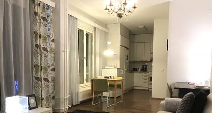 City Apartment