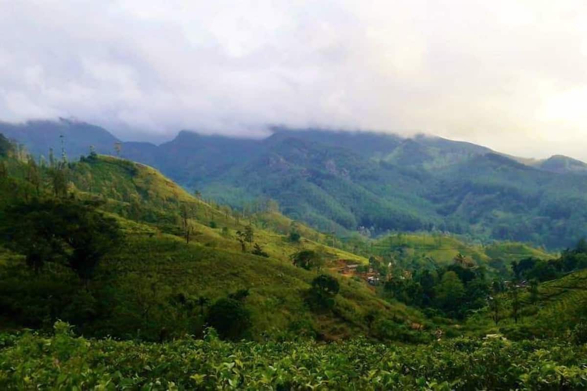 Riverston Holiday Home Stay In Matale Sri Lanka Expedia