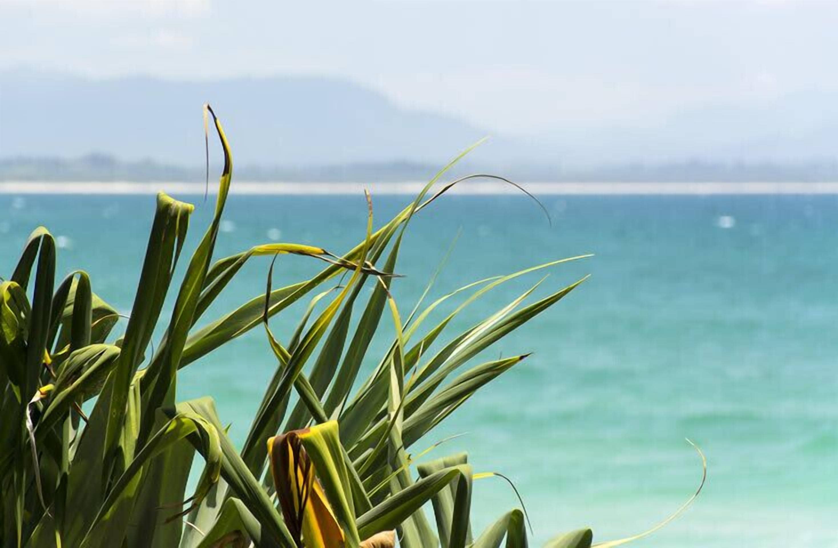 Watermark at Wategos