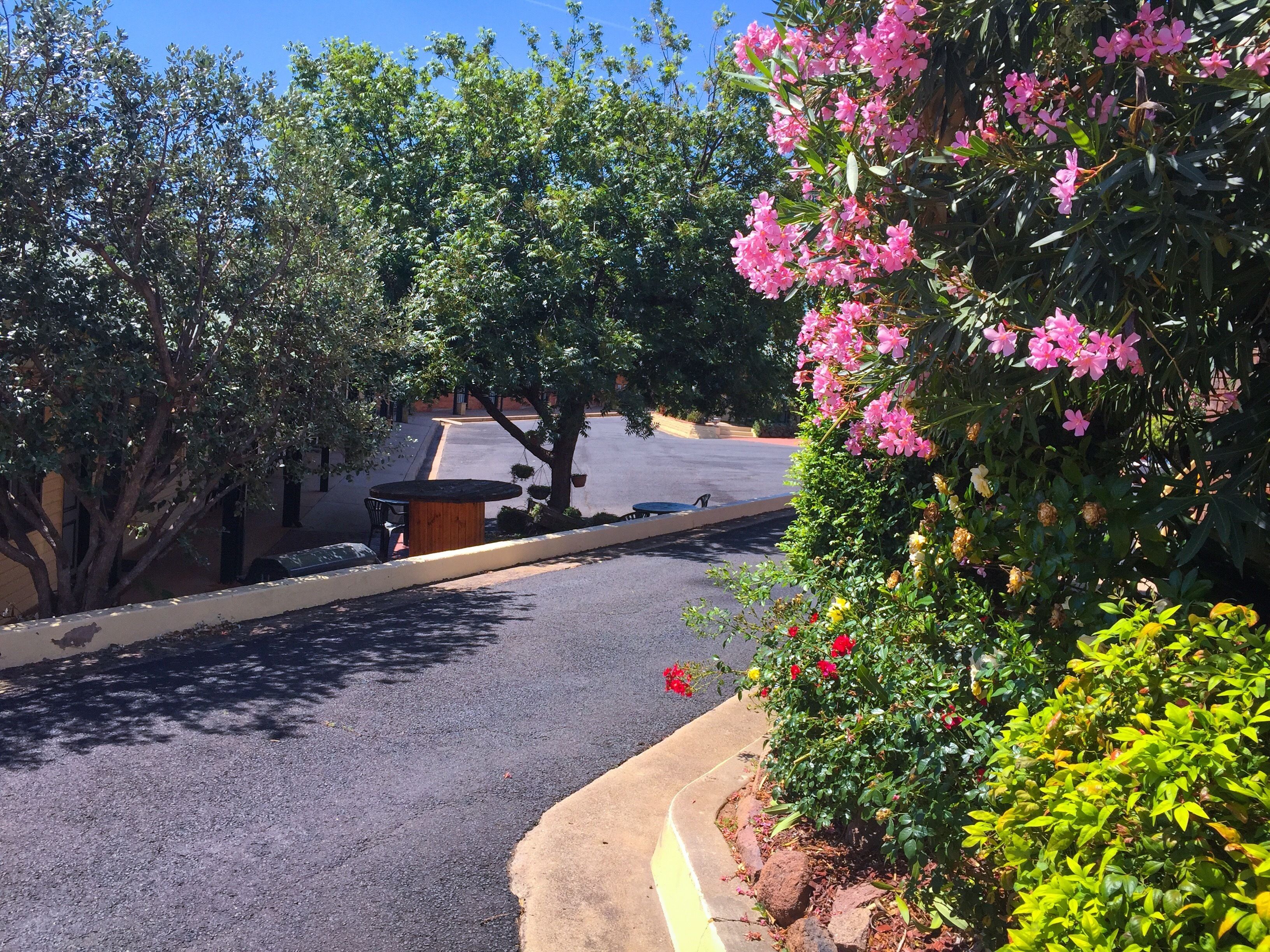 Ten Dollar Town Motel