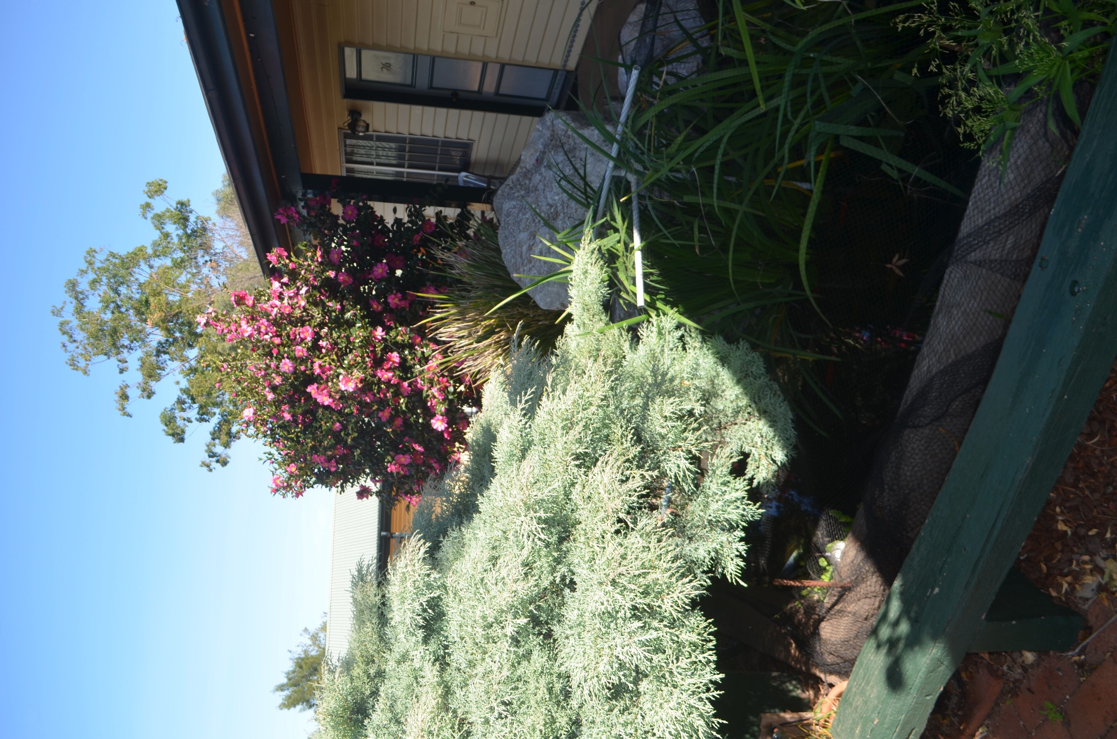 Ten Dollar Town Motel