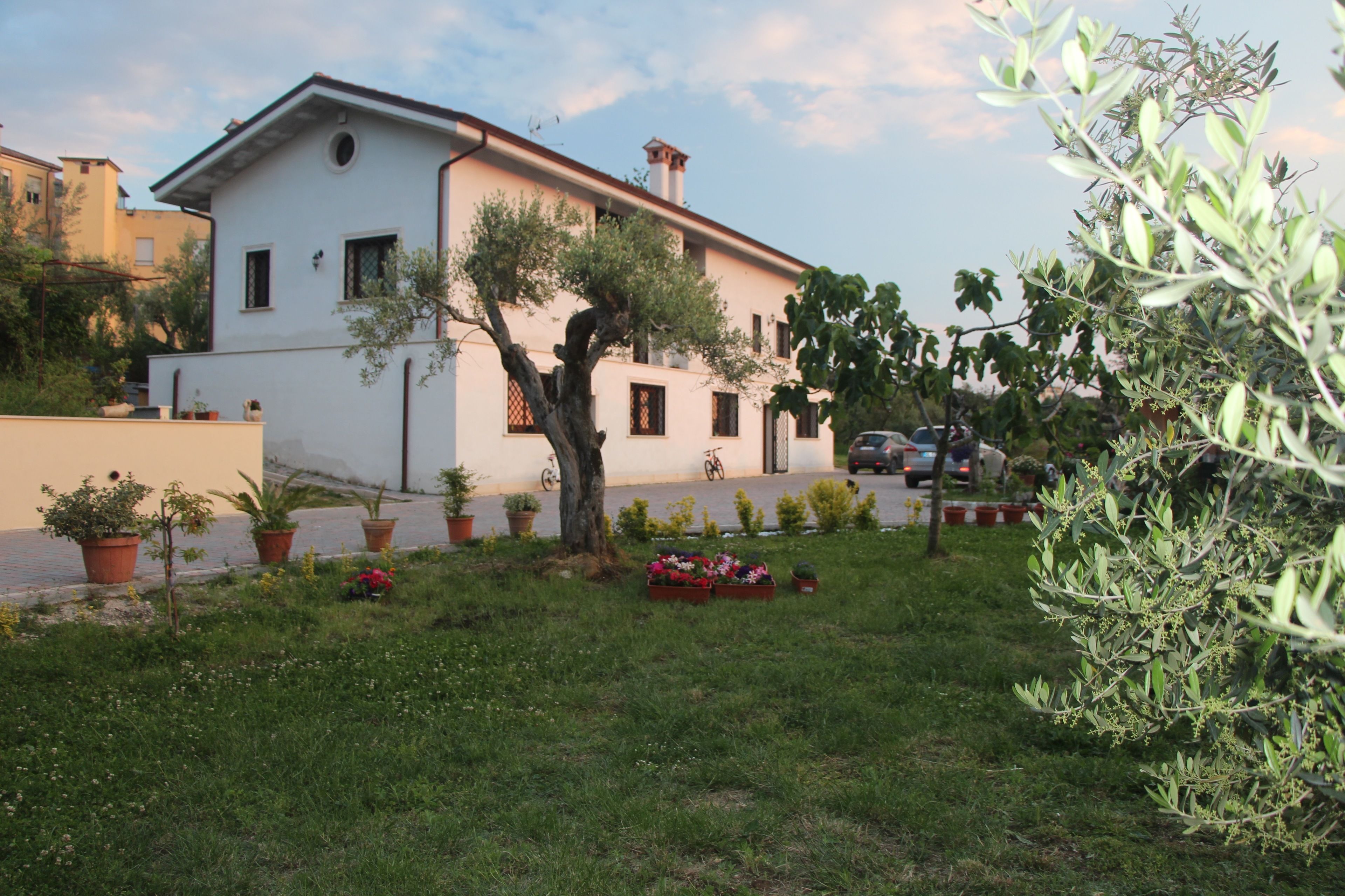 特拉萨迪弗拉斯卡蒂民宿 (B&B La Terrazza Di Frascati) 罗马 - ITA - 优惠订房和住客点评 | 智游网 Expedia.com.uk in Rome, United States