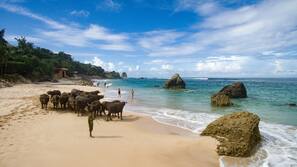 On the beach, white sand, beach towels, beach massages