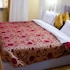 Hotel Anthena