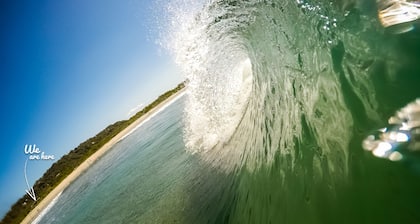 Moana Surf Resort