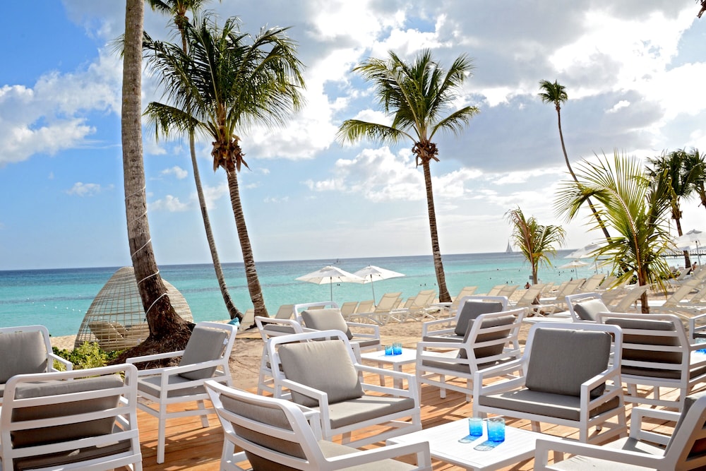 Beach, Catalonia Royal La Romana - All Inclusive - Adults Only