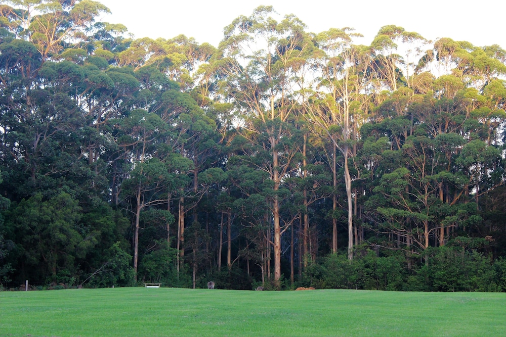 Tinglewood Cabins