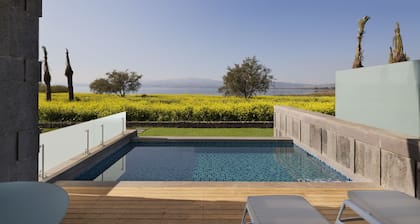 The Setai Sea of Galilee