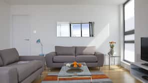 Flat-screen TV