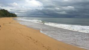 Plage, chaises longues, parasols, serviettes de plage