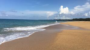 Plage, chaises longues, parasols, serviettes de plage