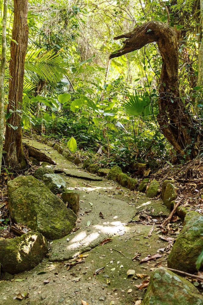 Photo - Hotel Quinta da Bica D'Água