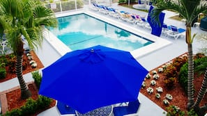 Outdoor pool, pool loungers