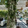Villa Mediterranea Capri