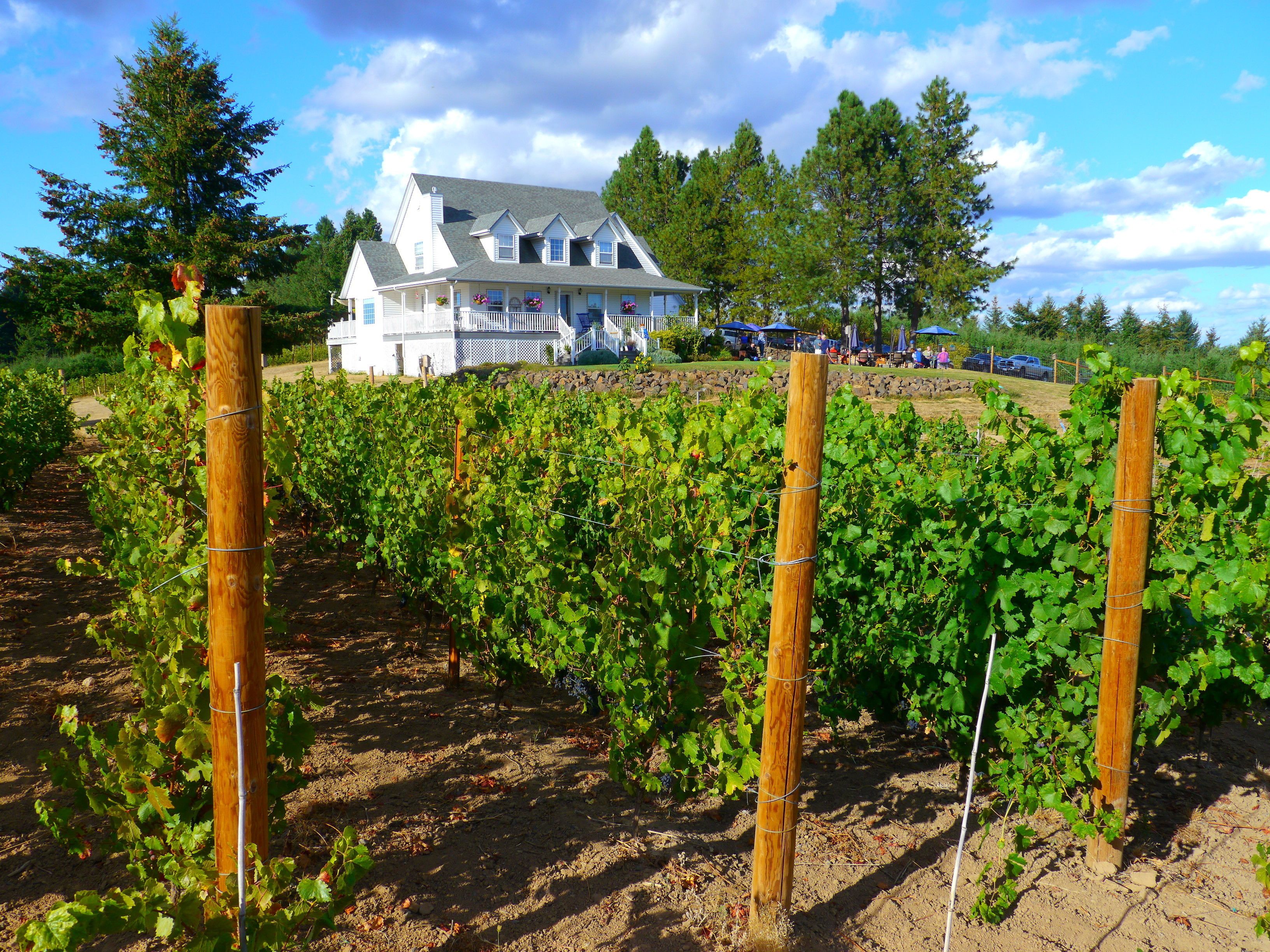 Bluebird Hill Farm B&B in Alpine, United States