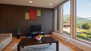 Flat-screen TV, DVD player