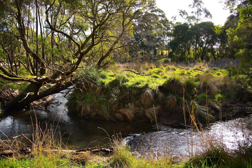 Green Gully House