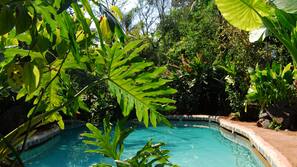 Piscina al aire libre