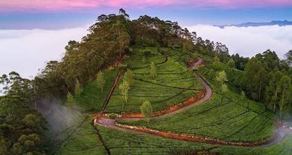 Bel View Guest House
