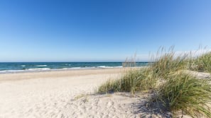 Am Strand