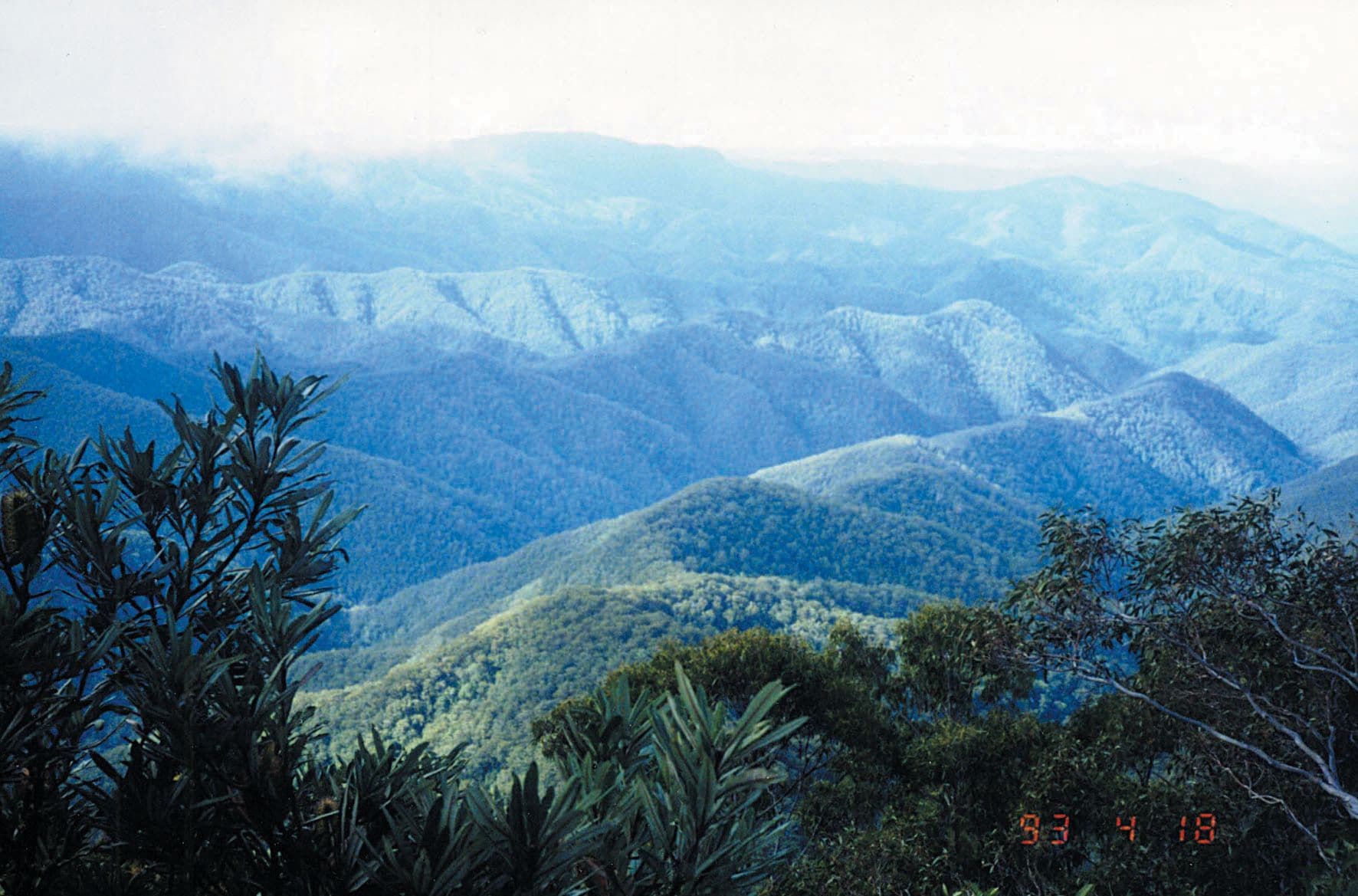 Moffat Falls Cottage