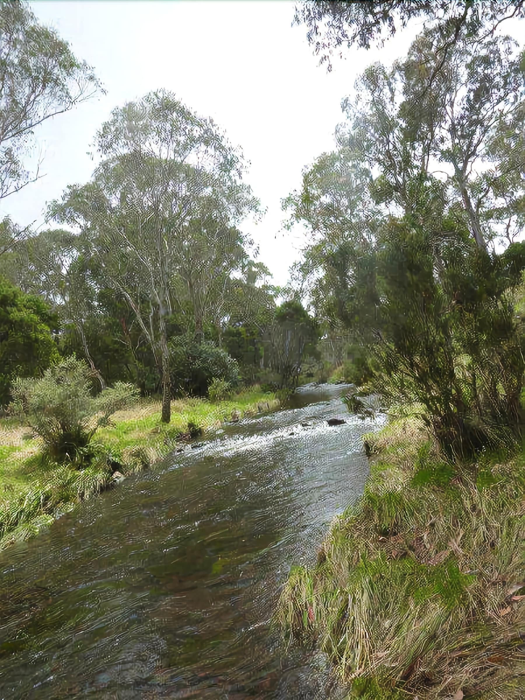 Moffat Falls Cottage