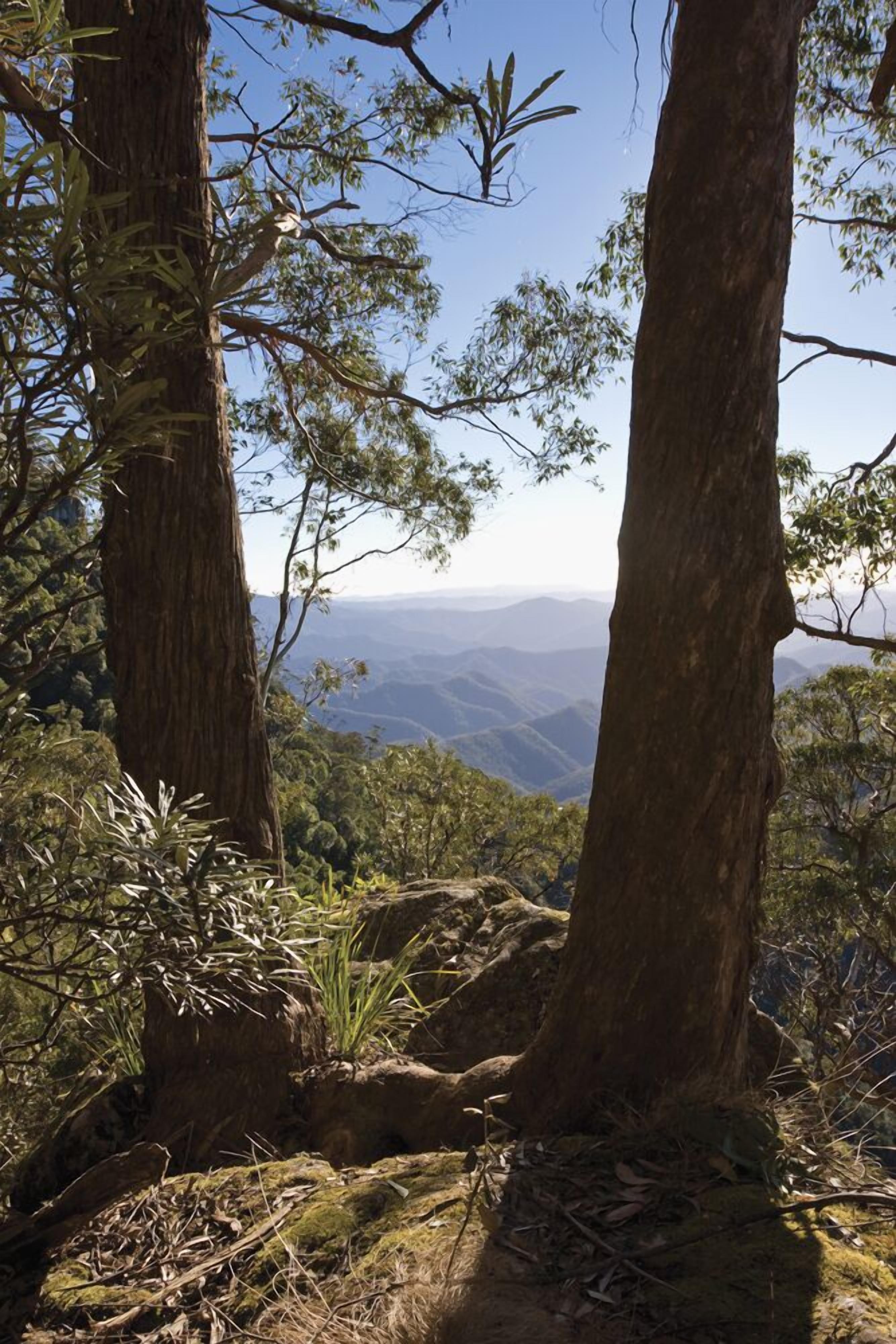 Moffat Falls Cottage