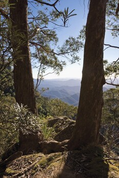 Moffat Falls Cottage Deals Reviews Ebor Aus Wotif