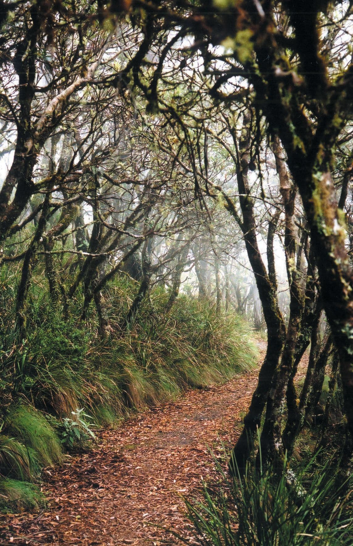 Moffat Falls Cottage