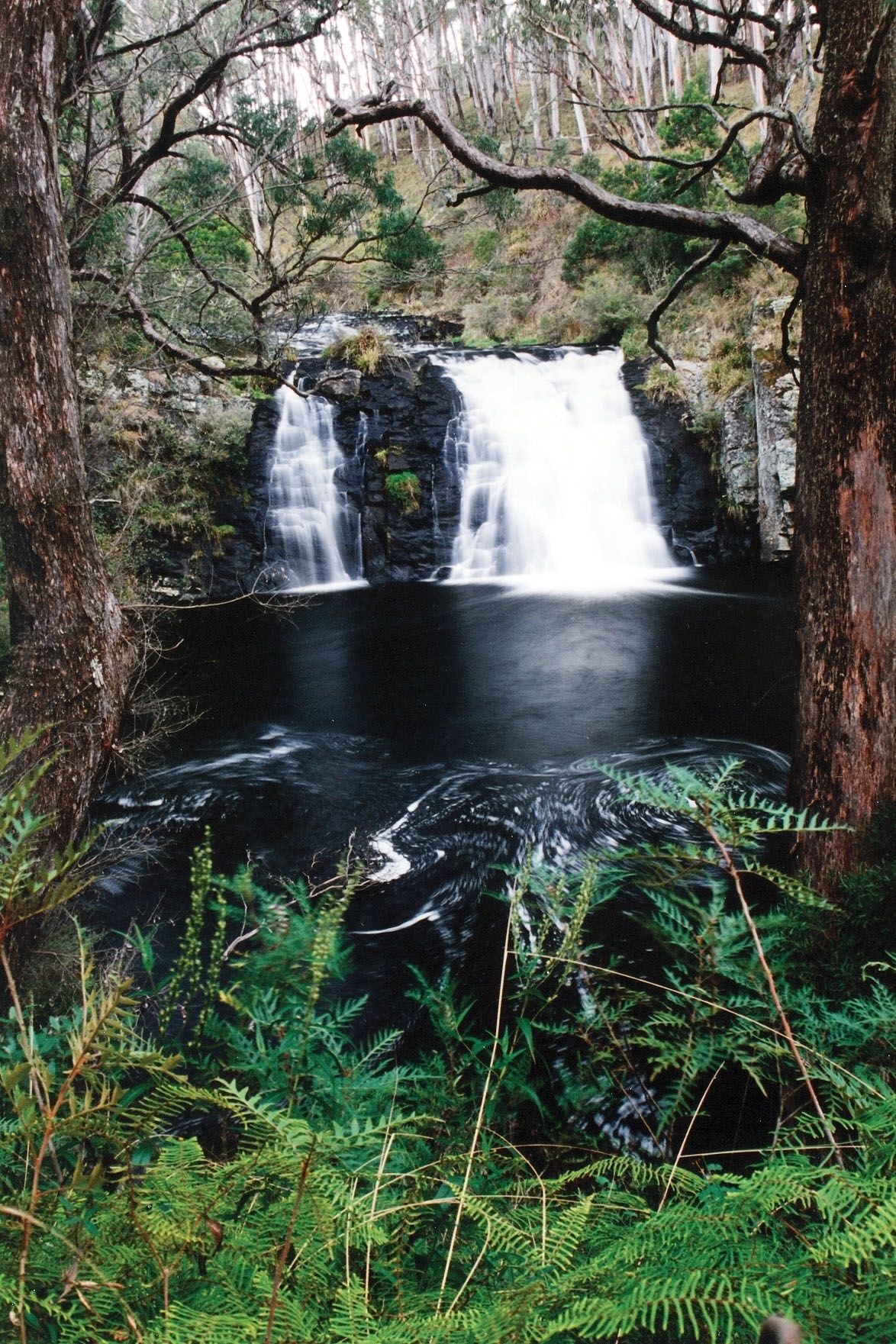 Moffat Falls Cottage