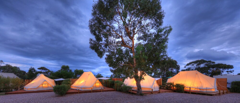 Room, Scamander Sanctuary Holiday Park