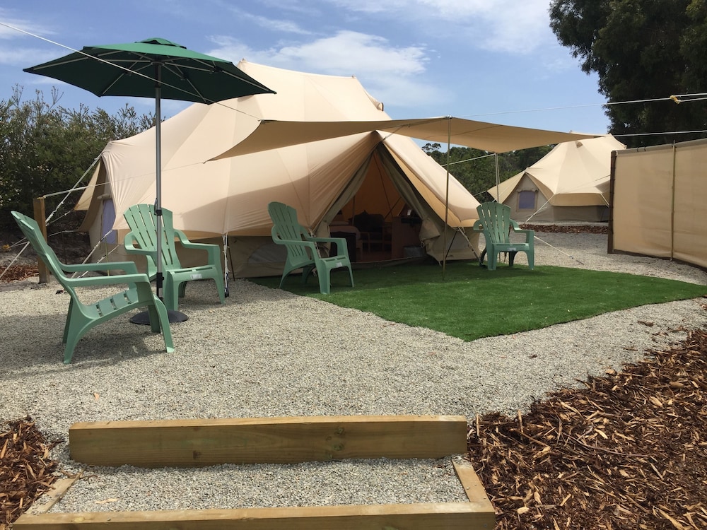 Terrace/patio, Scamander Sanctuary Holiday Park