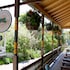 Pine Cottage Bed & Breakfast