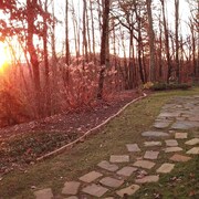 Top 10 Pet Friendly Hotels In Dahlonega Ga 92 Dog Cat