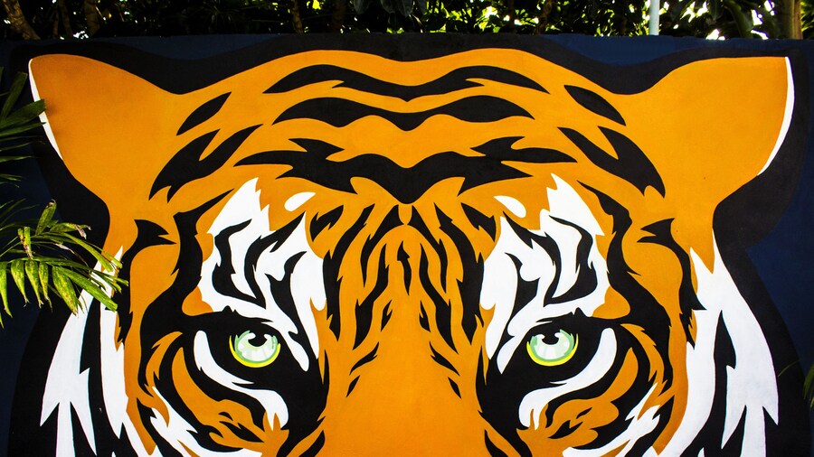 El Tigre de Santiago
