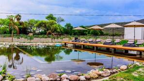 Una piscina al aire libre, sombrillas, tumbonas