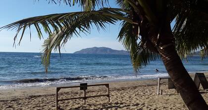 Hotel La Palapa