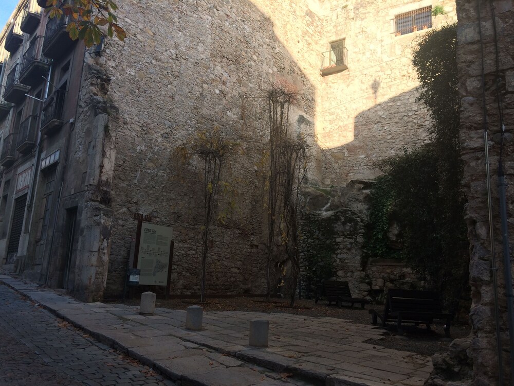 Imagen de Barri Vell - Cul Lleona (12 de 16)