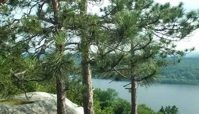 Crystal Lake Cabin In Barton Vt Expedia