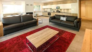 Flat-screen TV, fireplace
