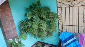 Terras